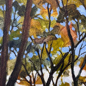 Whispering Trees, Dancing Reflections by Kate Gradwell 