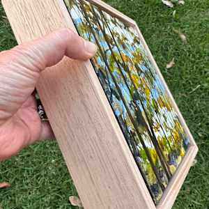 Whispering Trees, Dancing Reflections by Kate Gradwell 