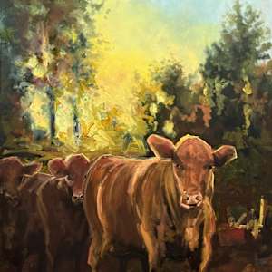 Boonah afternoon by Jason Hawkins