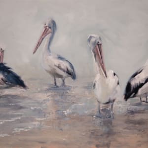 Noosaville Pelicans by Jason Hawkins