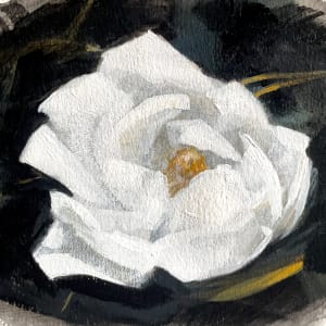 Magnolia by Elizabeth Hasegawa Agresta