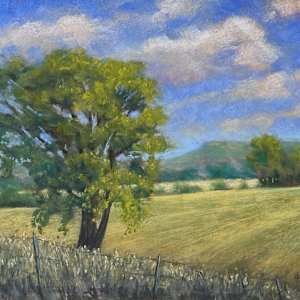 Fields Afar by Diane Pavelka 