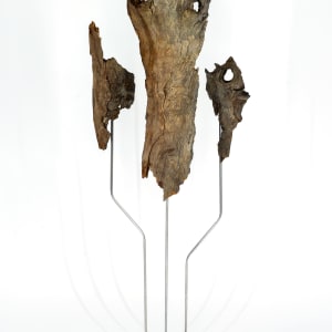Driftwood Triptych by Damon Hamm