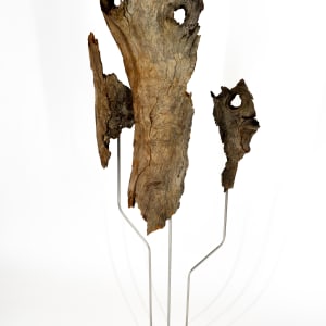 Driftwood Triptych by Damon Hamm 