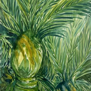 Nikau Grove by Christopher Roch