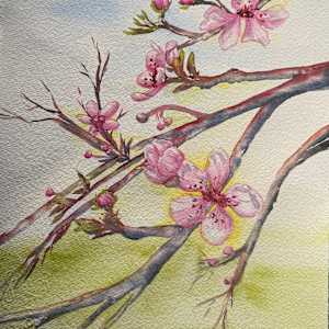 Mysterious Plum by Sarah Scott Falk, Image 1.
