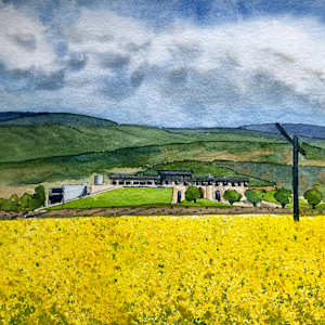 Opus Napa Mustard by Sarah Scott Falk, Image 1.