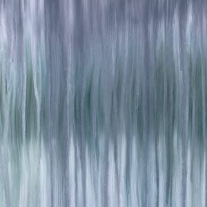Pine & Snow Bleak Midwinter Rain by Rachel Brask