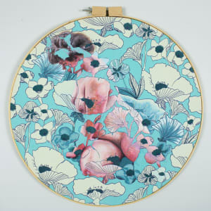 SOW WHERE YOU ARE FED by Isabelle Klauder 