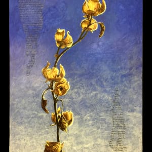 Dried Hollyhocks by Christy Hengst 
