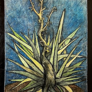 Yucca, Santa Fe by Christy Hengst 