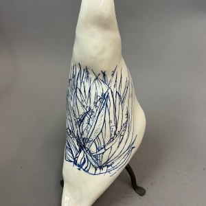 Tangled Yucca by Christy Hengst 