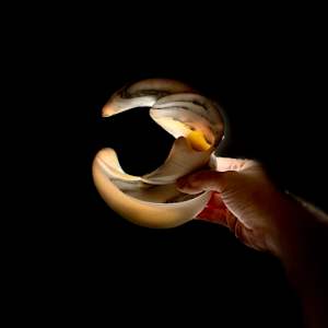 Untitled by Bill Usher 