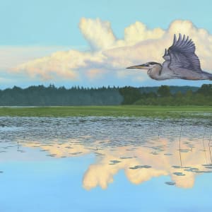 Summer Flight | Heron by Mark H Swenson