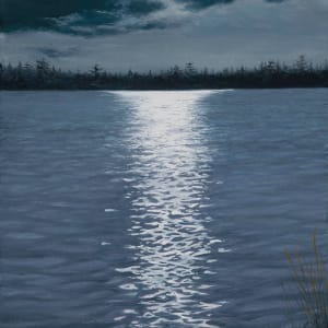 Primordial Light by Mark H Swenson