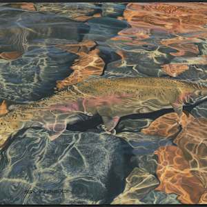 Rainbow Waters by Mark H Swenson