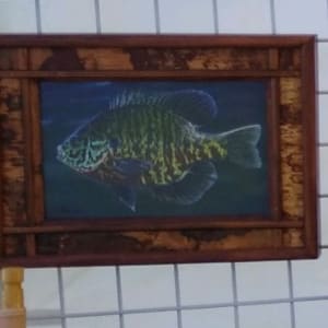 Sunfish | Canvas