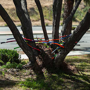 Urban Nesting by Dellis Frank 
