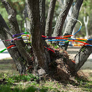 Urban Nesting by Dellis Frank 
