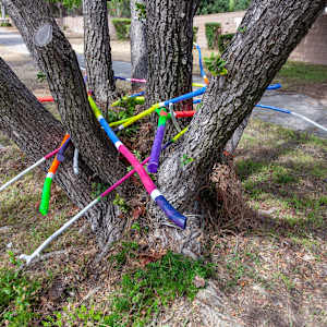 Urban Nesting by Dellis Frank 