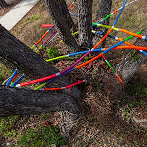 Urban Nesting by Dellis Frank 