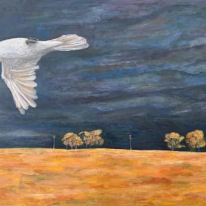Upside down cockatoo over Putta Bucca wetlands by Michael Bourke