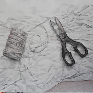 Scissors & Twine by Joan Chamberlain