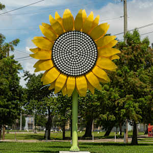 Ketleflower by Josh Pitts 