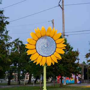 Ketleflower by Josh Pitts
