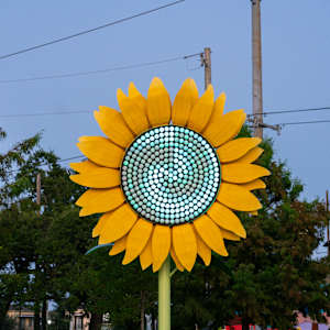 Ketleflower by Josh Pitts 