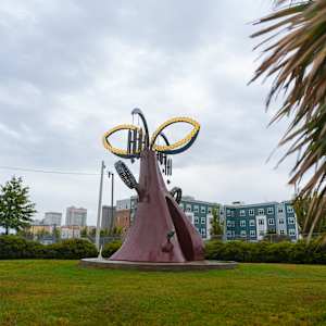 Tambourine Cypress by Ashley Teamer 