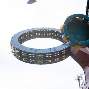 Tambourine Cypress by Ashley Teamer 
