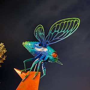 Cicadence by Leaky Roof Studio