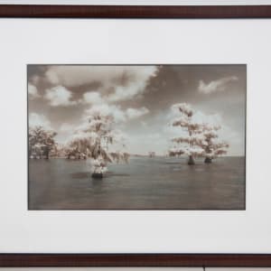 Louisiana Dreamscape by Sandra Russell Clark 