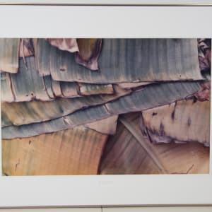 Banana Leaves by Kay Harris DuVernet 