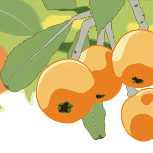 Japanese Plums by Jason Van Pelt