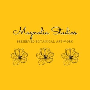 Magnolia Studios of Louisiana by Lynn Jenkins
