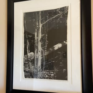 Tree by Gregory B. Saunders