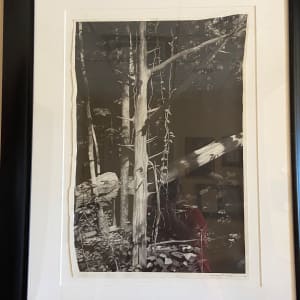Tree by Gregory B. Saunders 