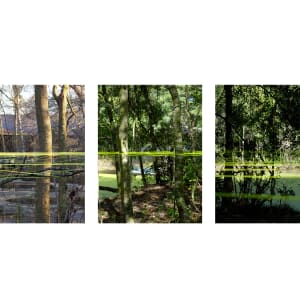 Trace by John Kleinschmidt