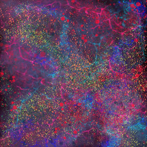 Afterimage by Jonathan Herbert