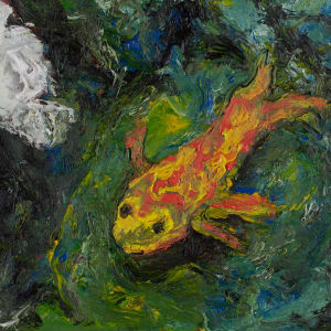 Koi by Jonathan Herbert