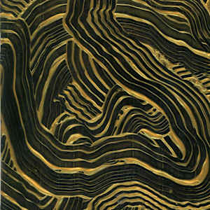 Sit Down!  Breath Deeply. by Phoebe Bradbury