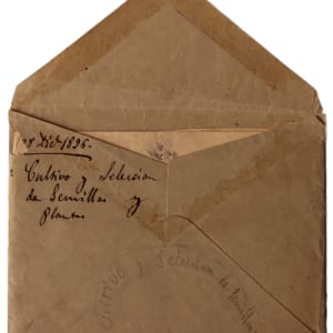 Dibuix 262 by Josep Mirabent i Gatell 