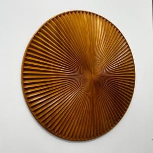 Singularity and the sun by Roger Murray 