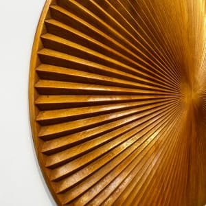 Singularity and the sun by Roger Murray 