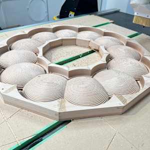 Multiplicity by Roger Murray 