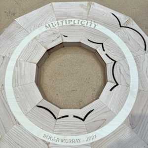 Multiplicity by Roger Murray 