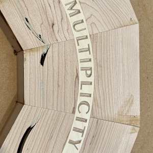 Multiplicity by Roger Murray 