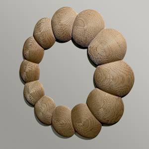 Multiplicity by Roger Murray